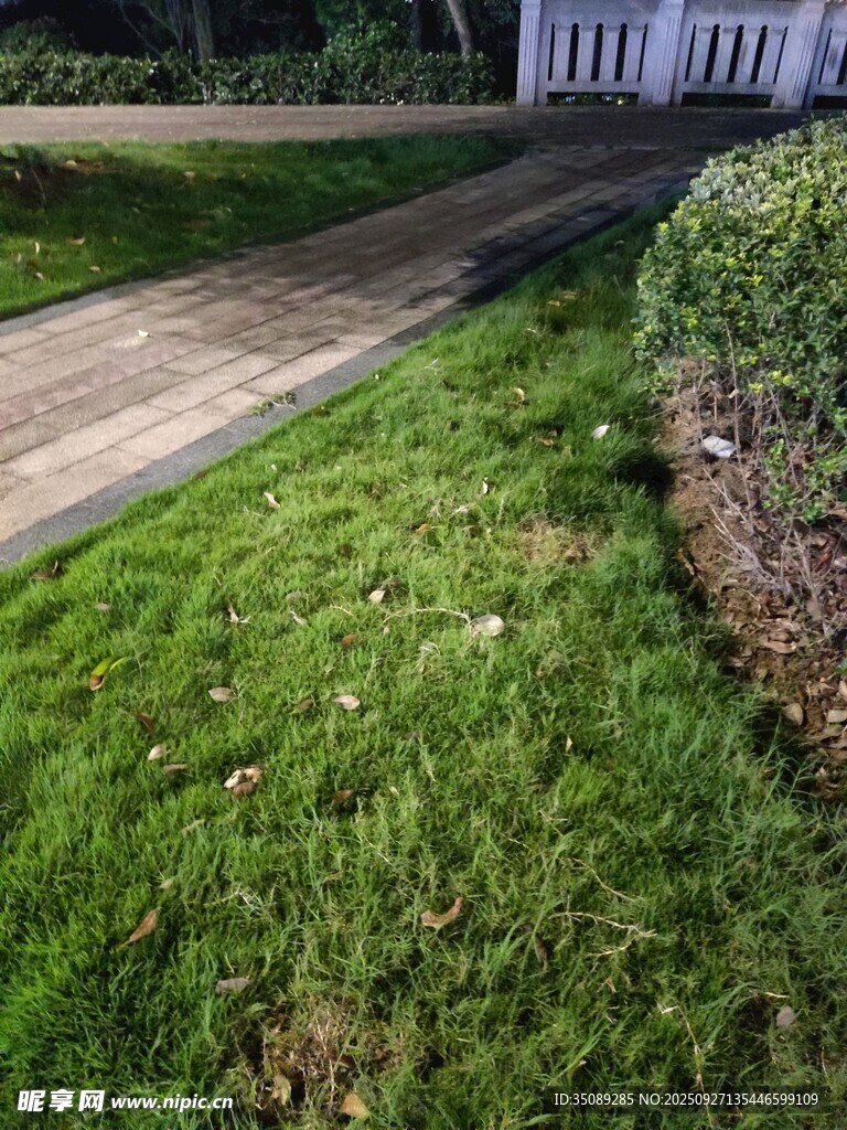 綠意盎然的庭院草坪景觀