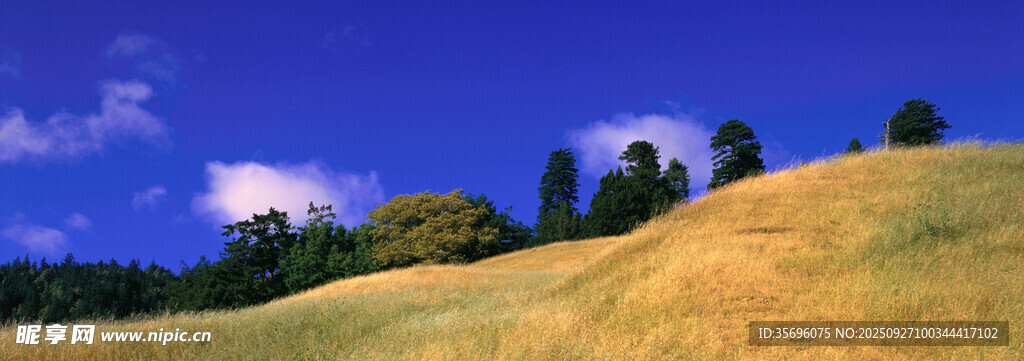 田園山坡美景