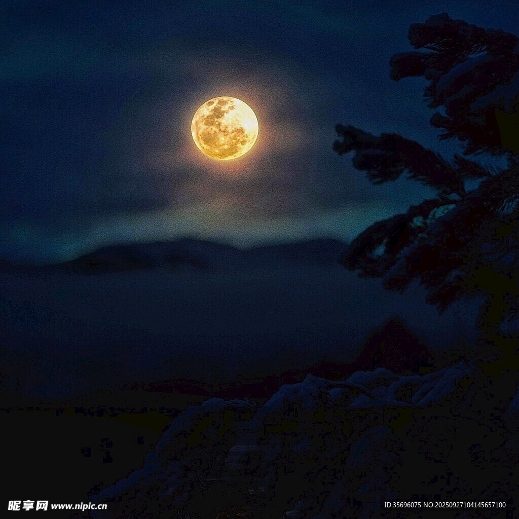 月夜山林美景
