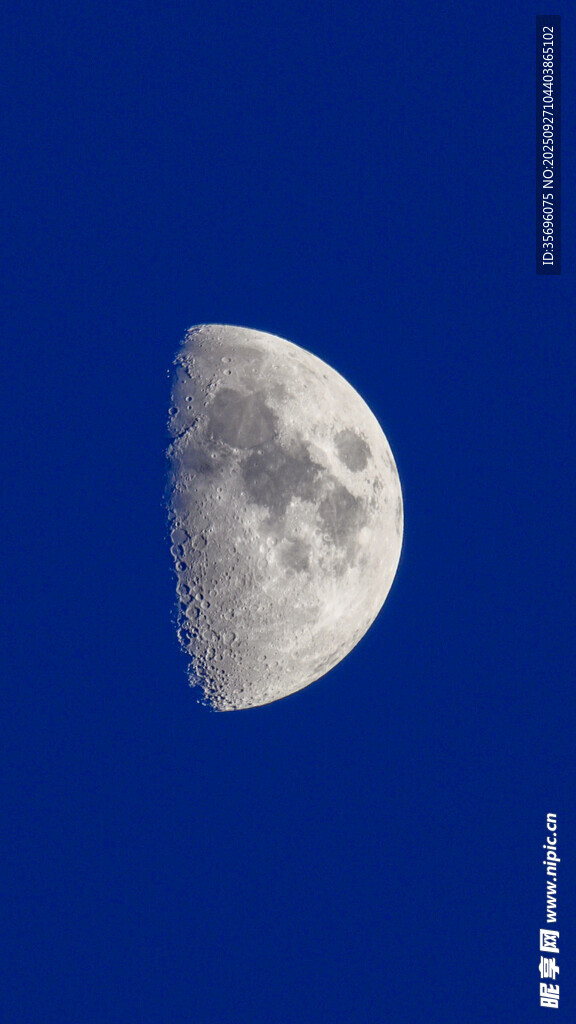 夜空中的半月