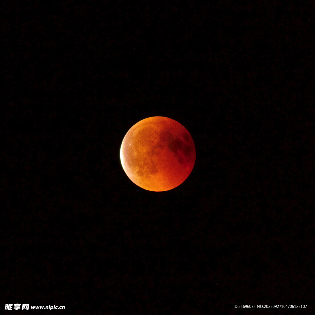 紅月高懸夜空