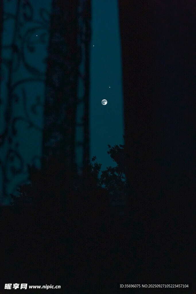 月夜窗前靜謐剪影