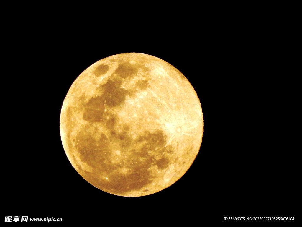 金黃滿月懸于夜空