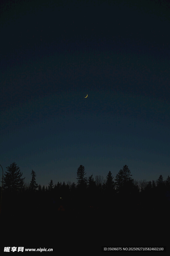 夜幕下的森林與天際