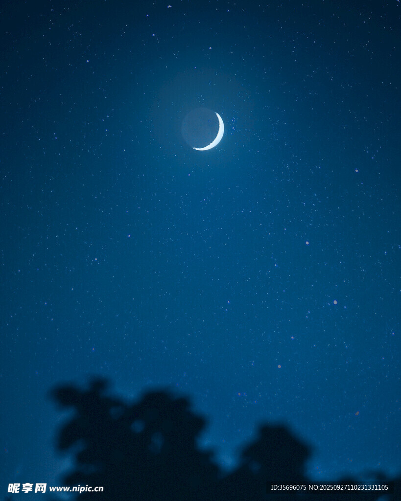 夜空下的新月與樹木