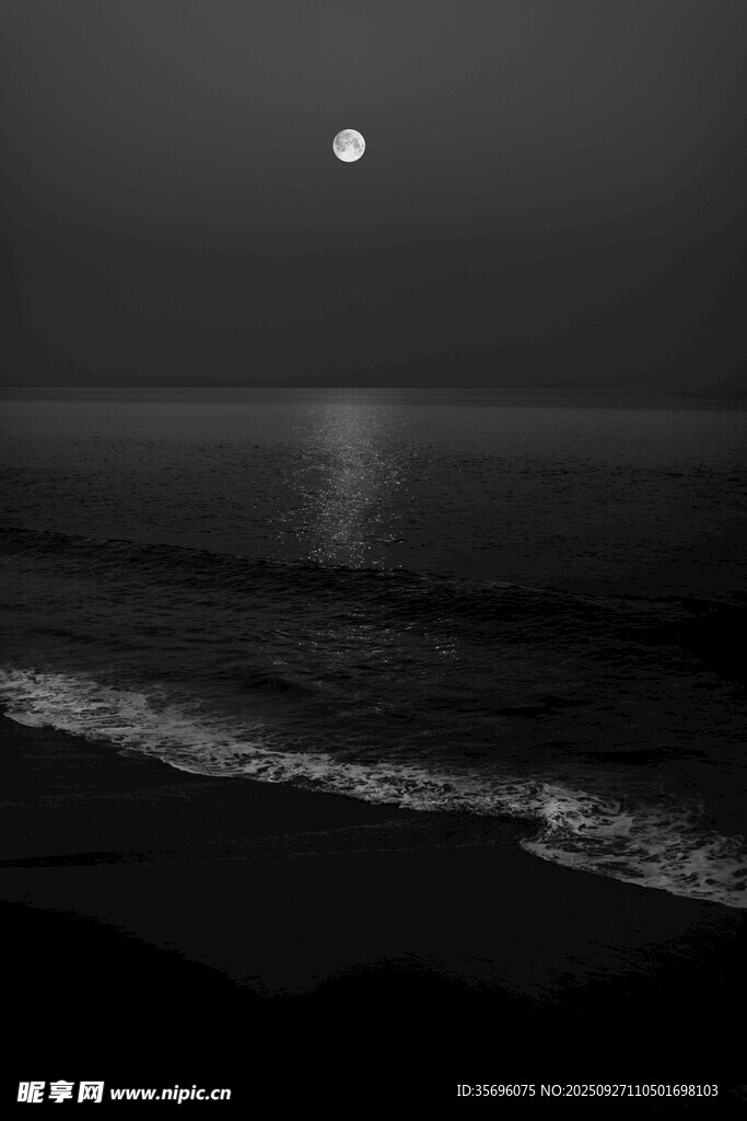 月夜下的靜謐海岸線