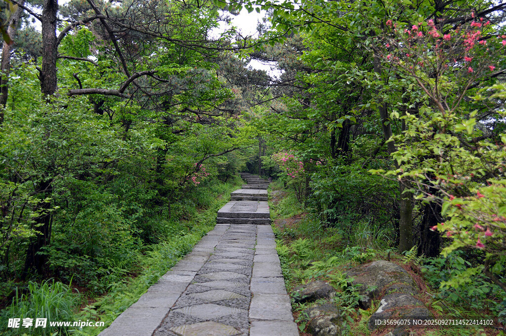  廬山風(fēng)光 