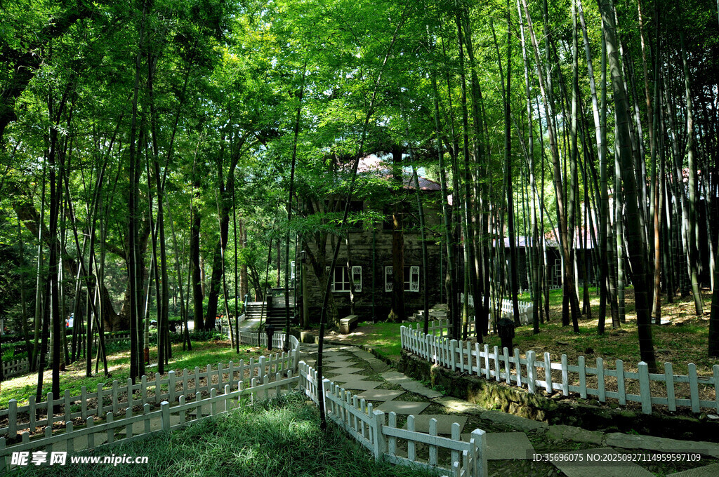  廬山風(fēng)光 