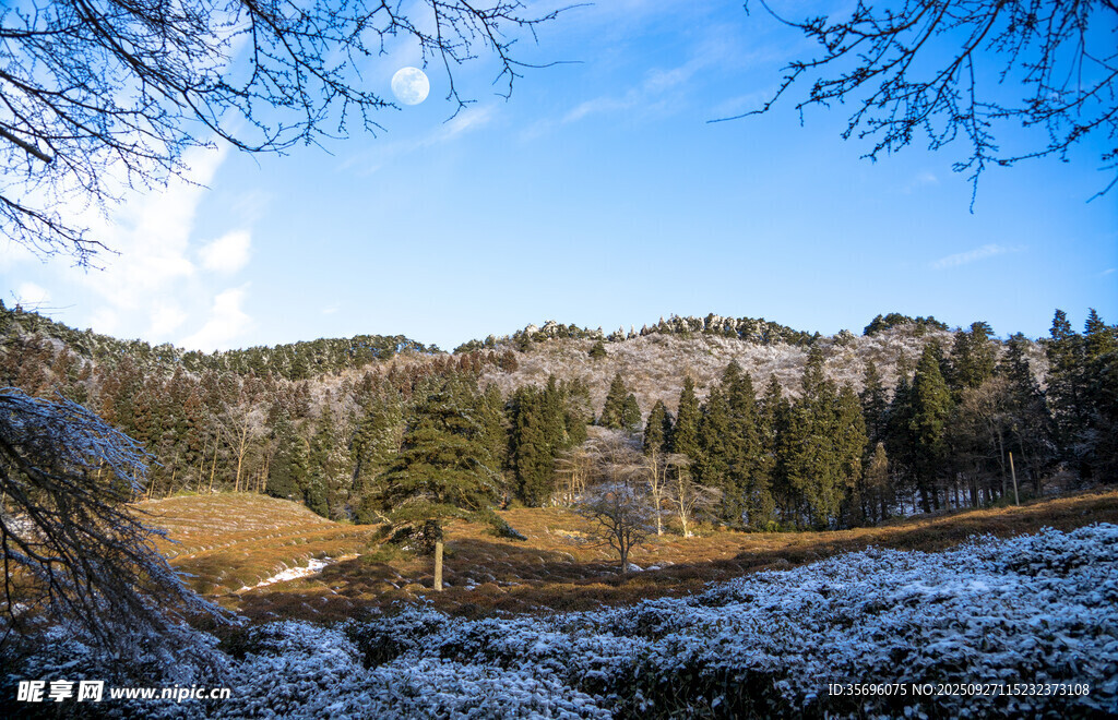 冬日山林雪景風(fēng)光