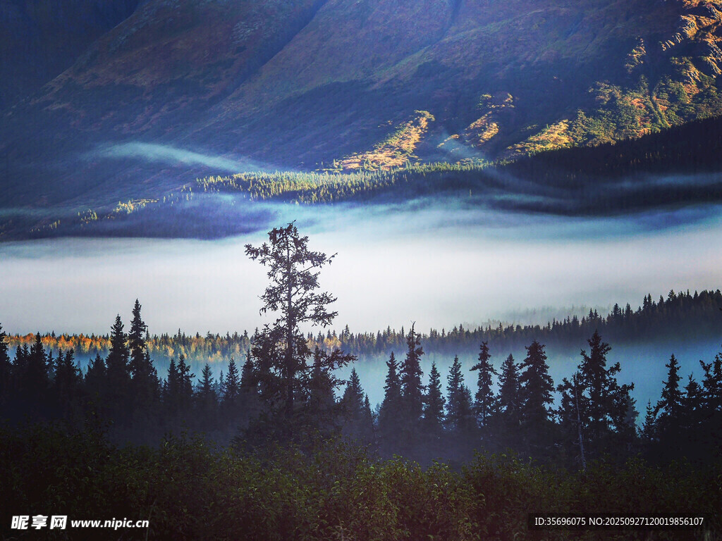 湖畔山林間的靜謐美景