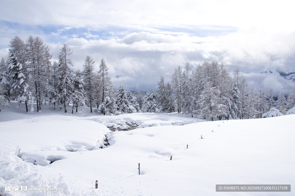 冬日雪景中的銀白山林