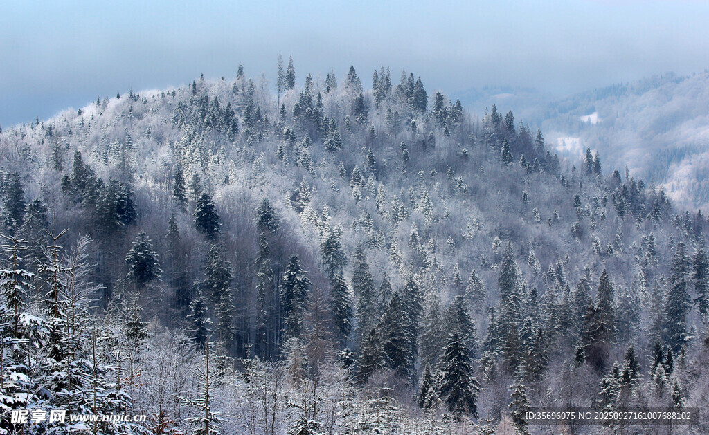 雪覆山林美景