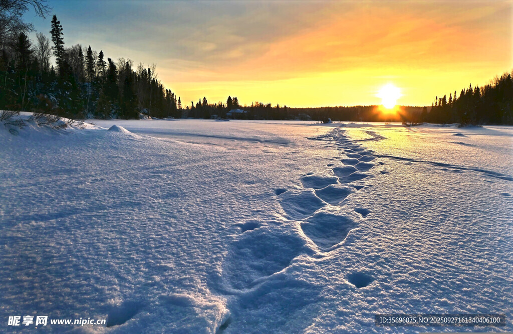 雪地夕陽下的串串腳印