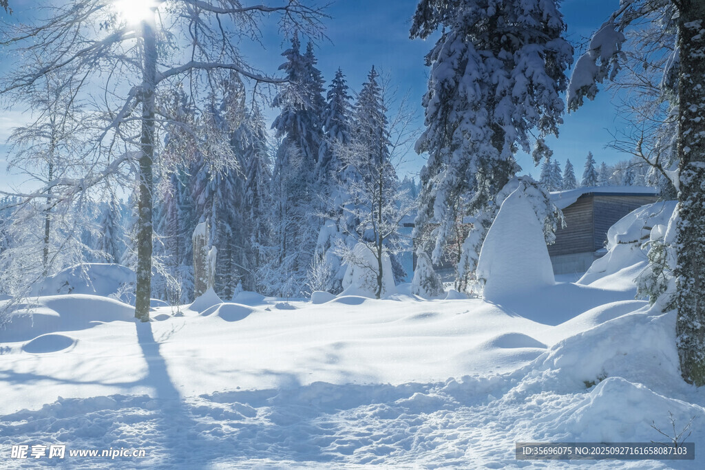 冬日雪林小屋美景