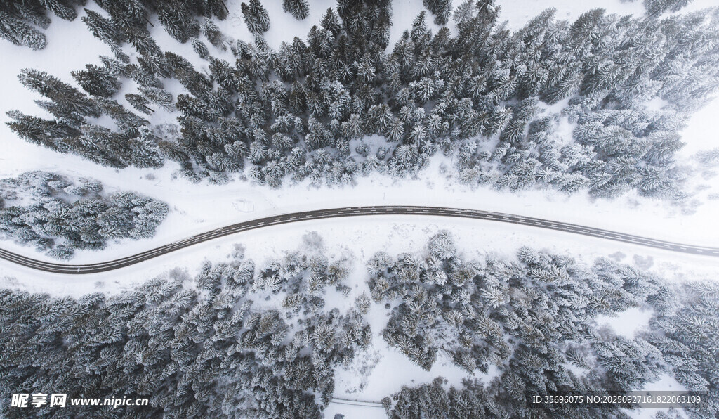 冬日雪林蜿蜒公路美景