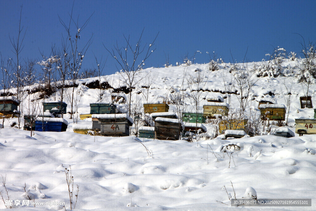 雪覆山村景象