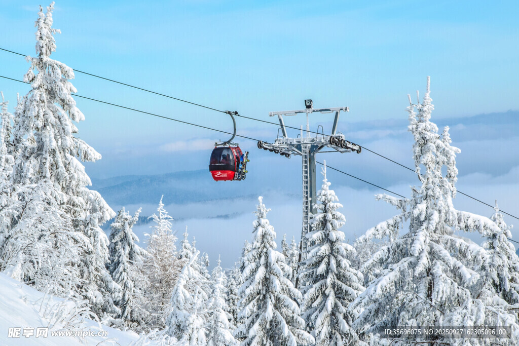 雪林纜車美景