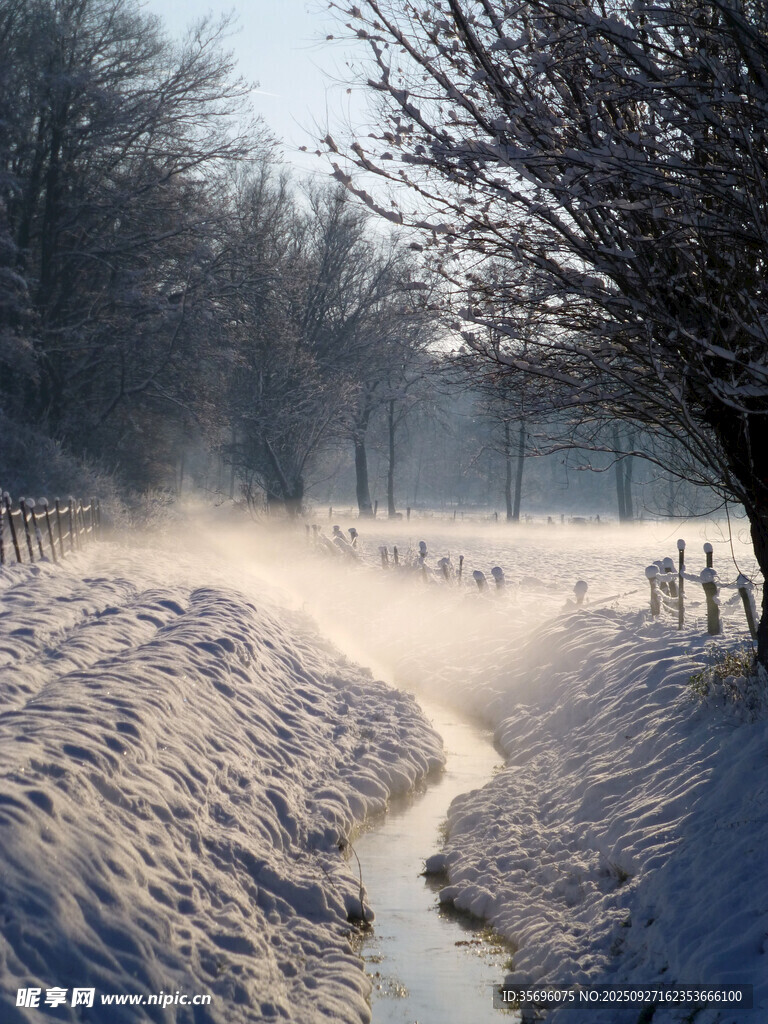 冬日雪中小徑朦朧美景