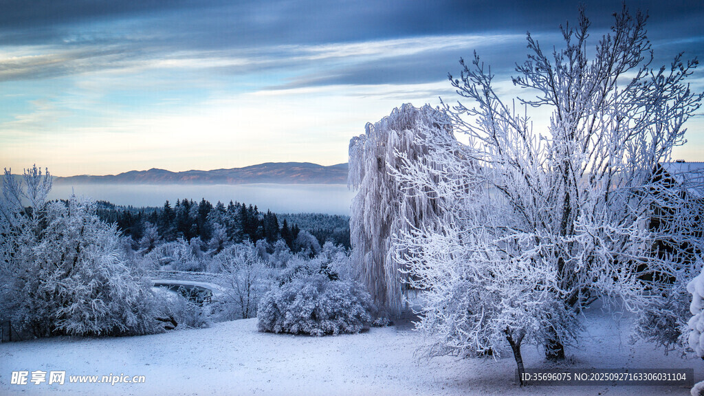 冬日雪覆美景