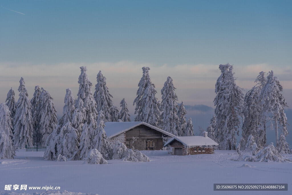 冬日雪林小屋美景