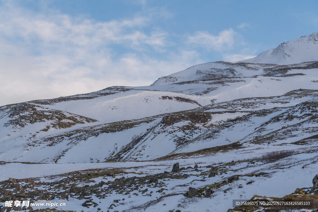 冬日雪景 