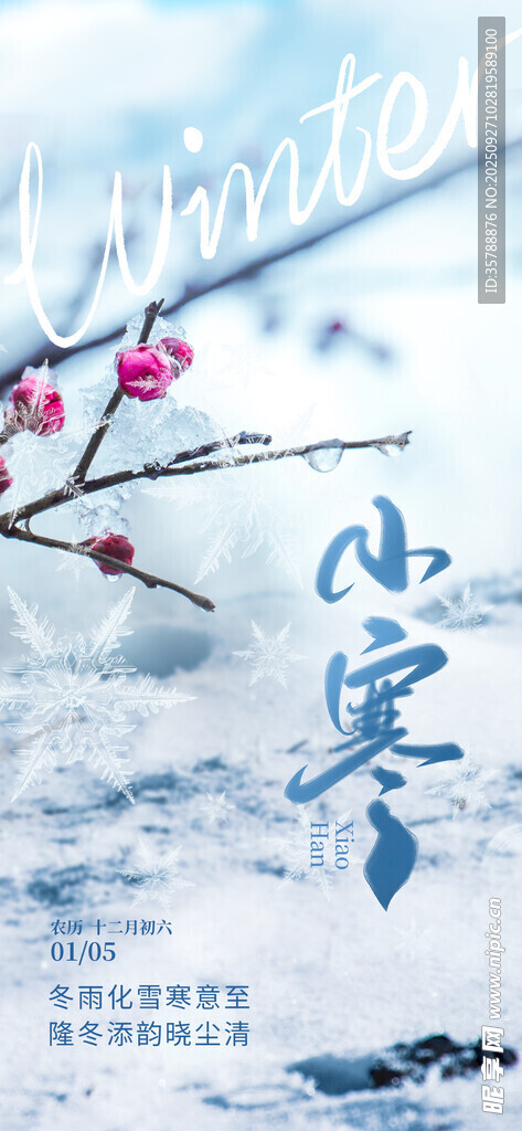 小寒時(shí)節(jié)枝頭綻紅梅