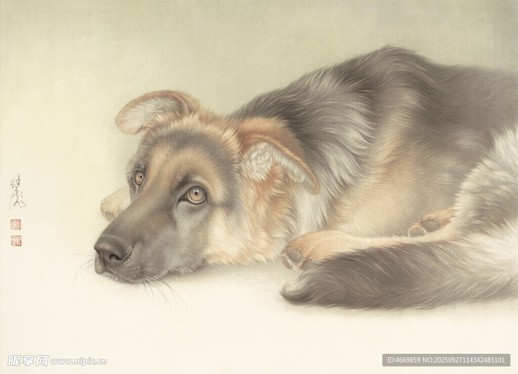 臥躺的灰毛犬