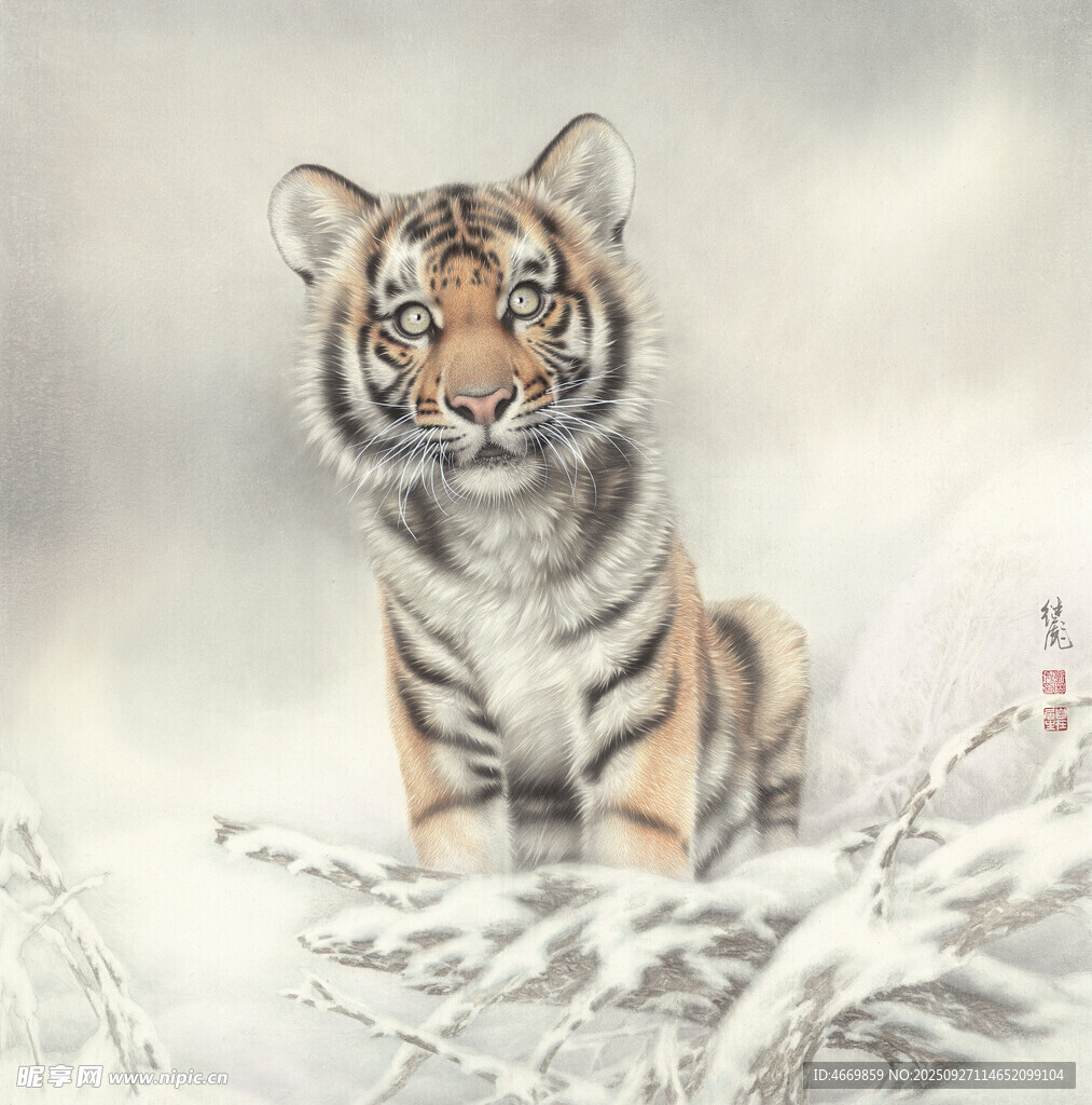 雪野中的威嚴猛虎
