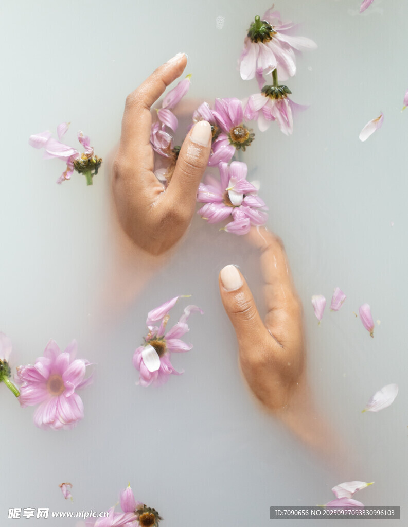 手撫水中落花的唯美畫面