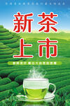 茶葉海報(bào)