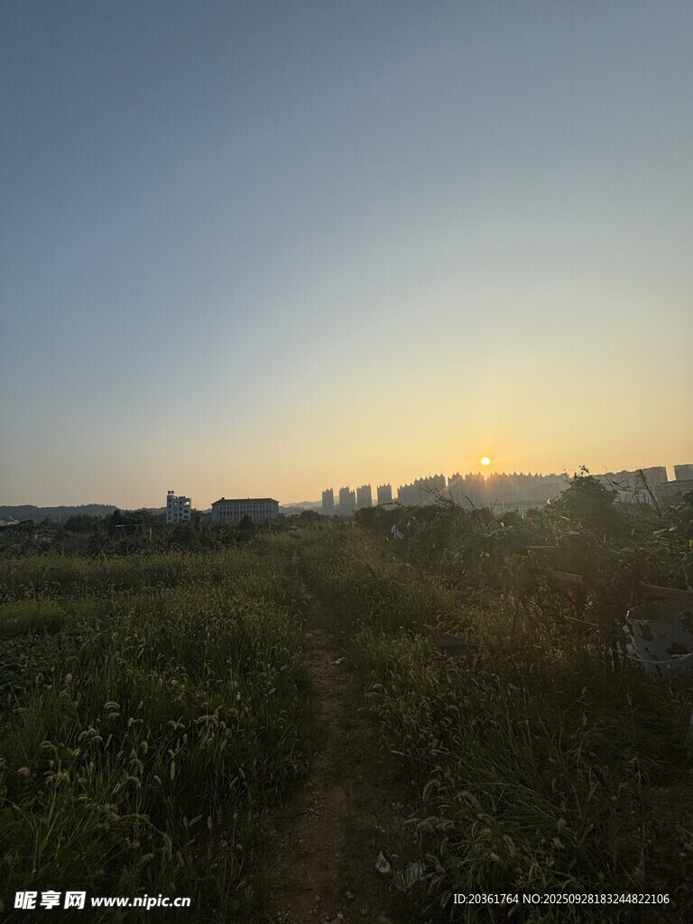 田野晨曦中的鄉(xiāng)間小路