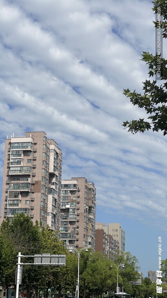 城市中在建的高層住宅樓