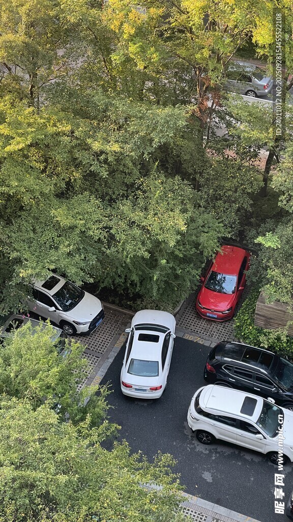 綠樹環(huán)繞的停車場景象