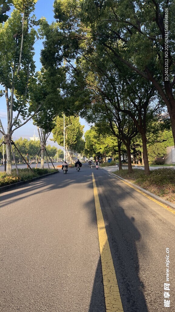 林蔭下的平坦騎行道路