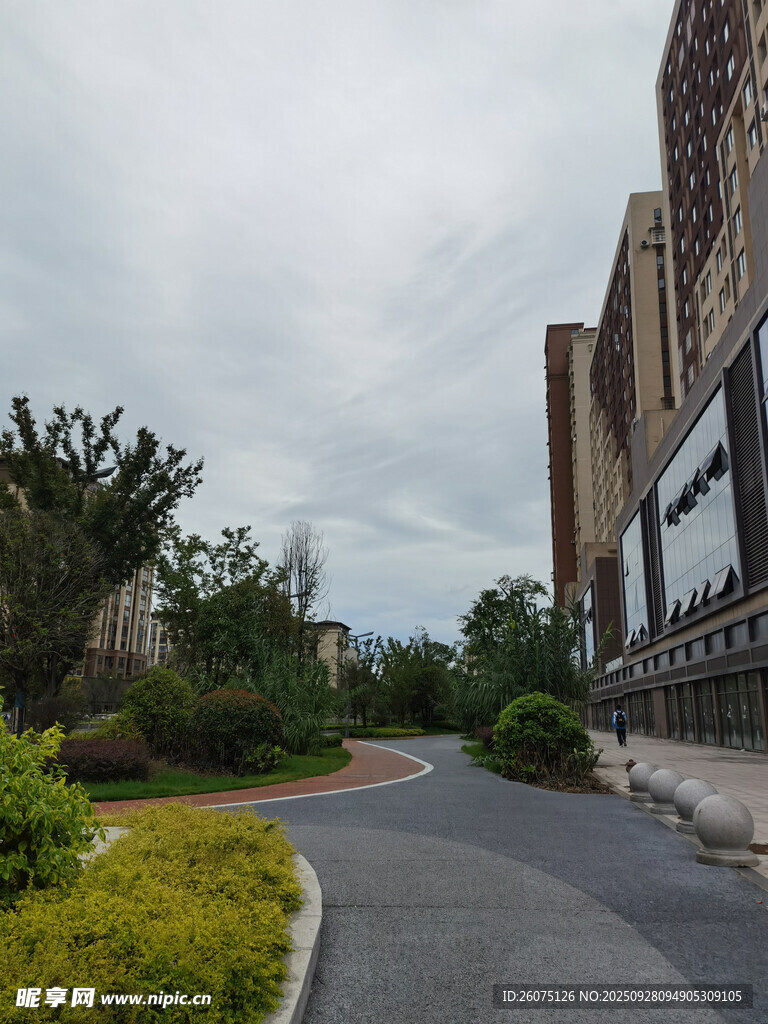 校園道路旁的建筑與綠植