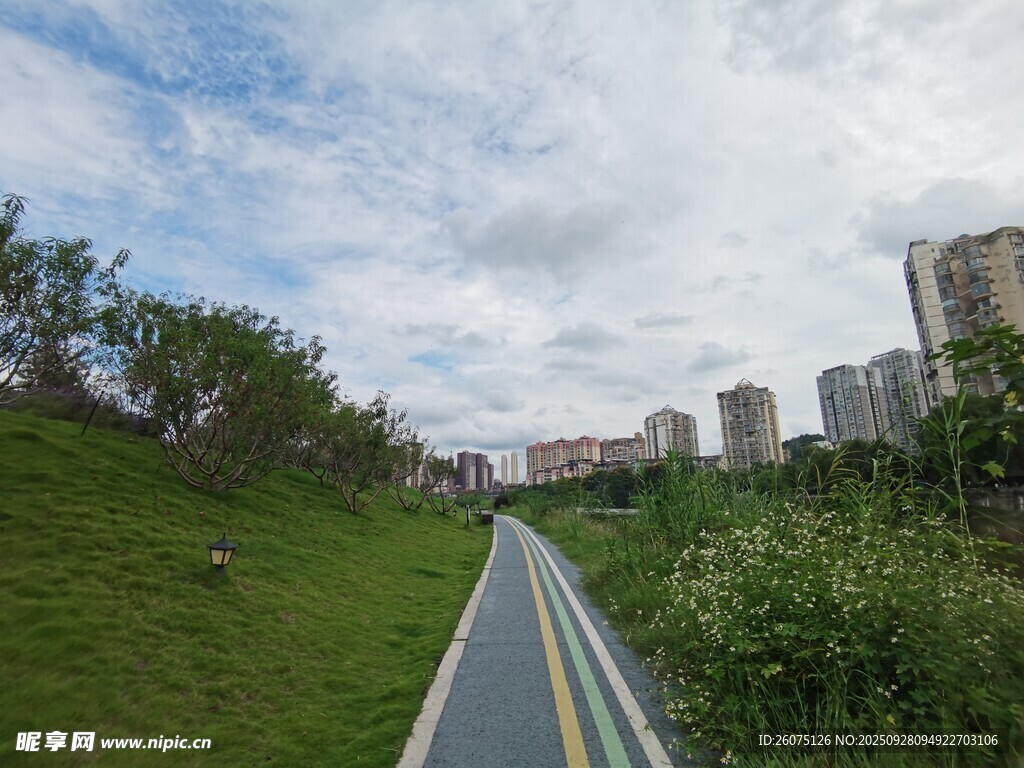 城市中的綠色騎行小路