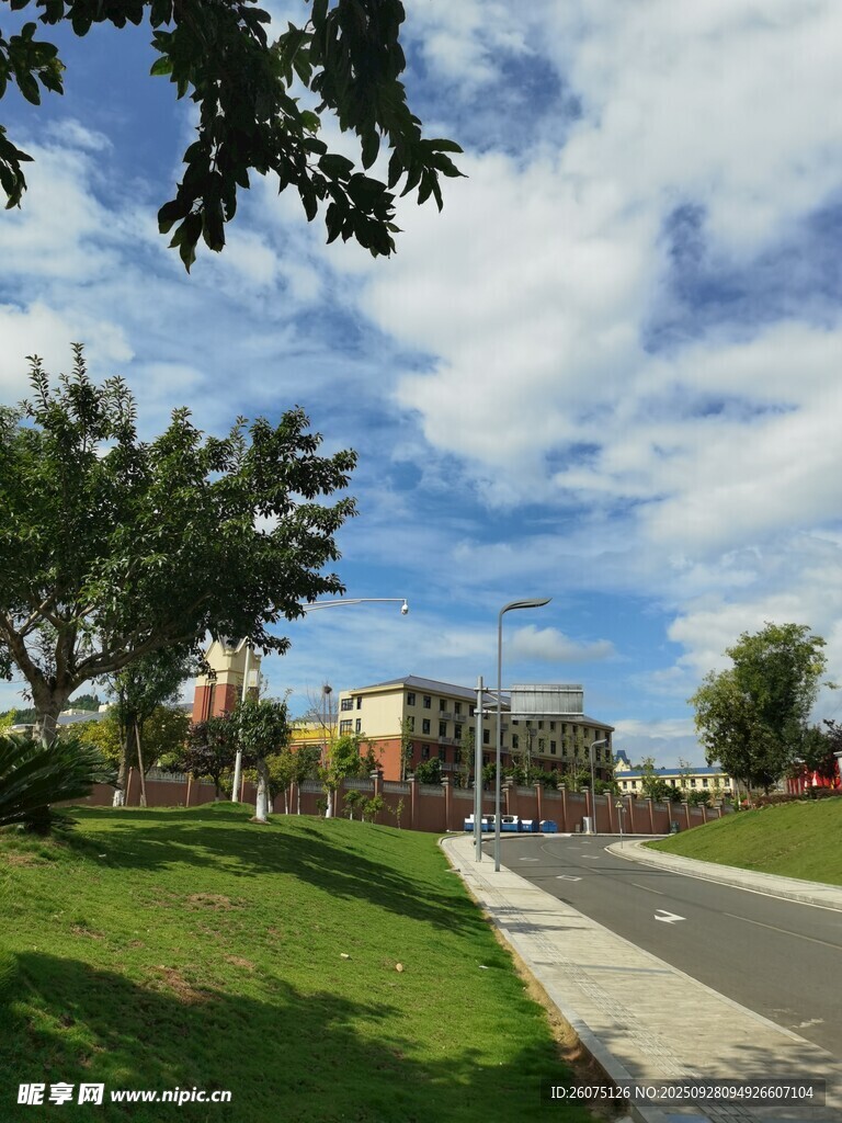 城市街道旁的清新風(fēng)景