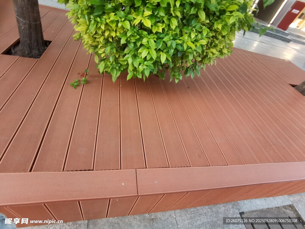 木質(zhì)平臺(tái)上的綠色盆栽