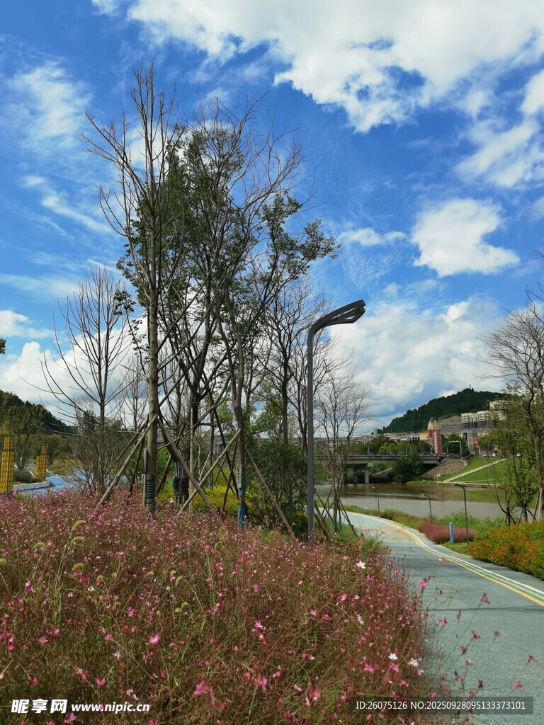 藍(lán)天白云下的自然景觀