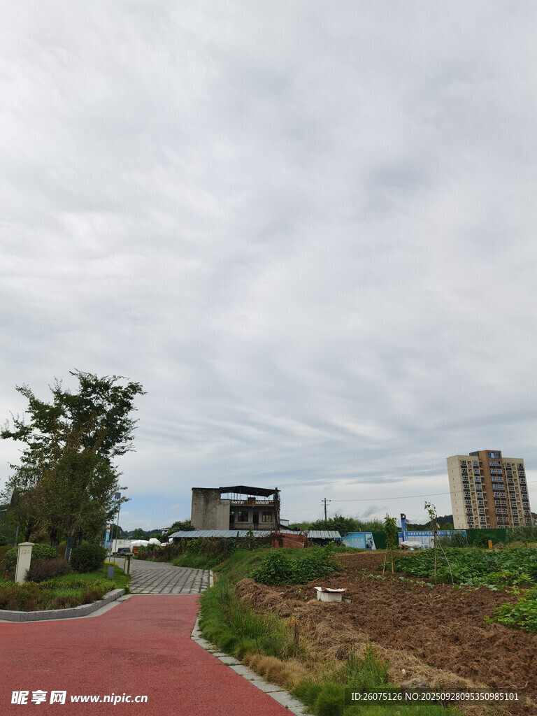 城市中寧靜的戶外步道景觀