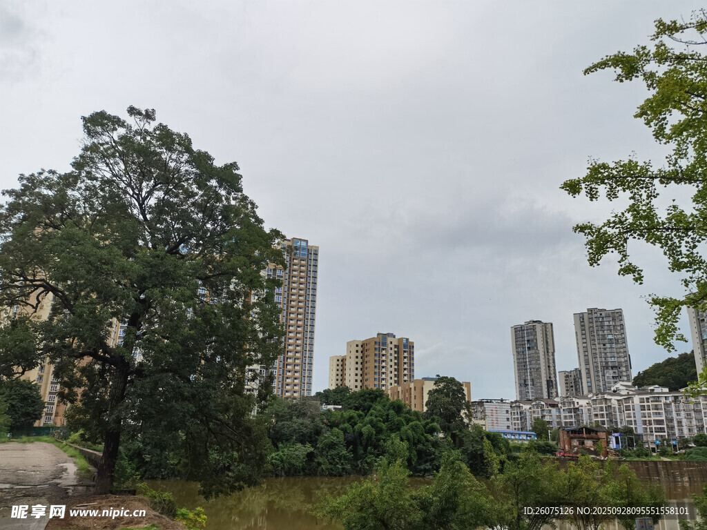 城市邊緣的綠樹(shù)與高樓