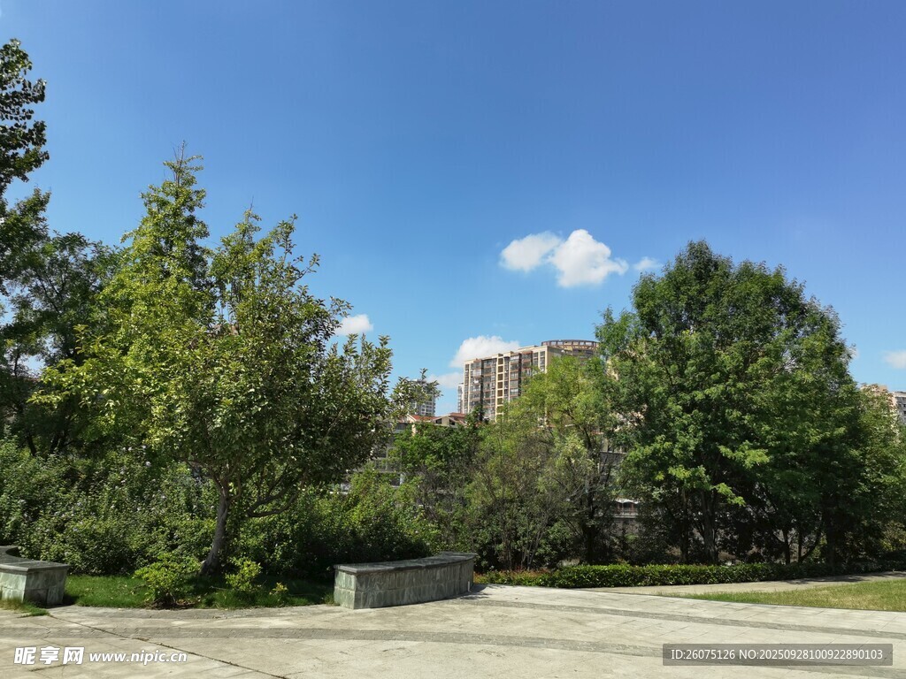城市中的綠意公園景觀
