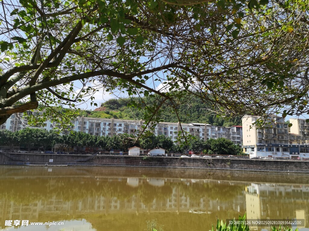 湖畔綠樹環(huán)繞的寧靜景致