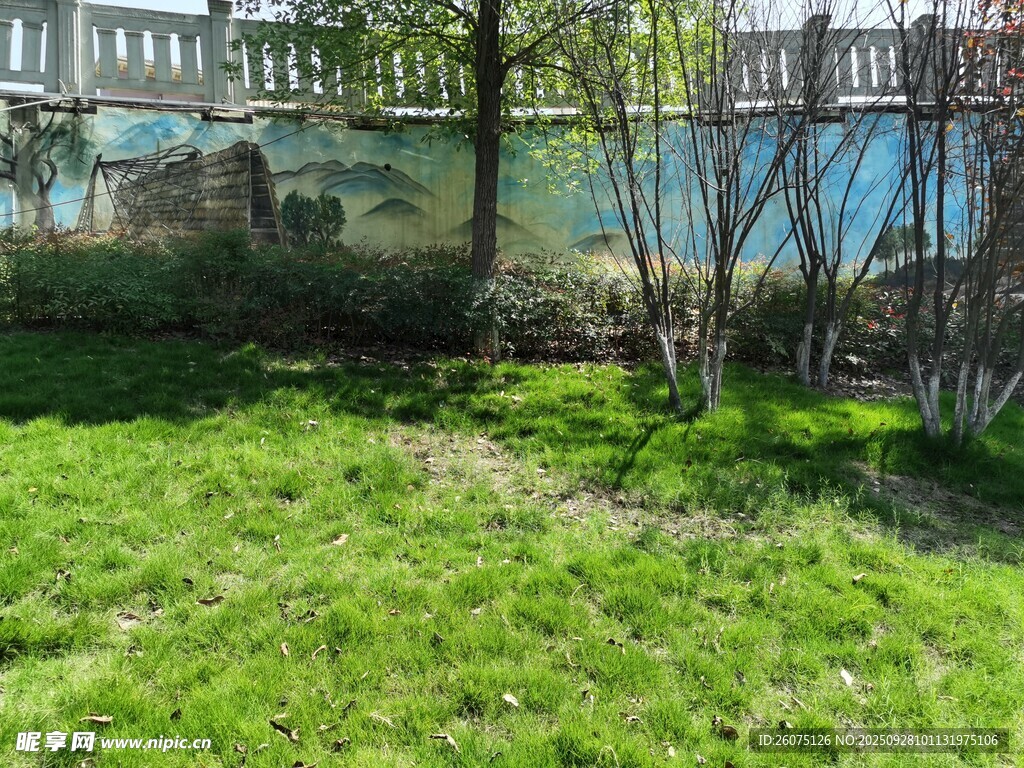 戶外翠綠草地與水景
