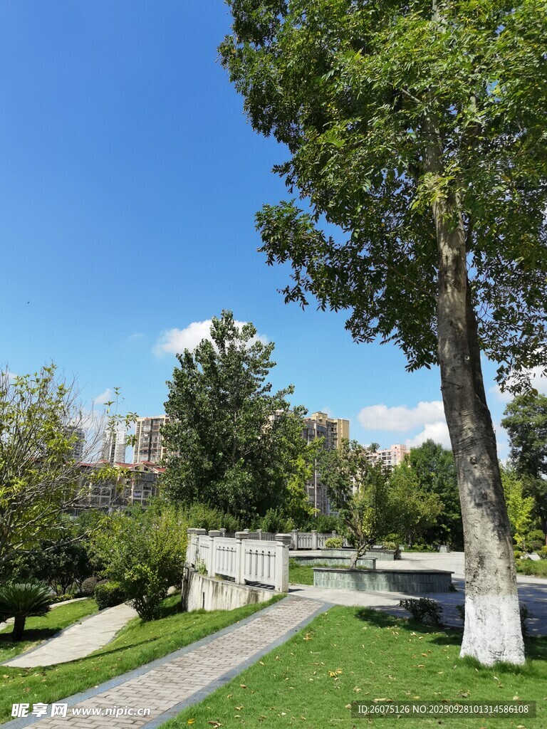 公園綠樹(shù)成蔭的寧?kù)o小徑