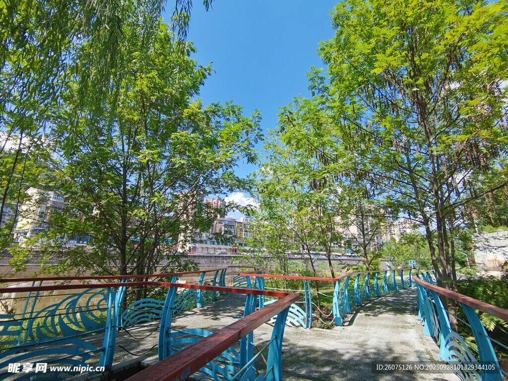 公園中的多彩步道與綠樹