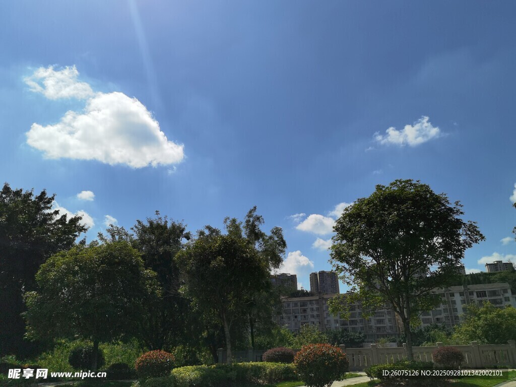 晴朗藍(lán)天與蔥郁園林景觀