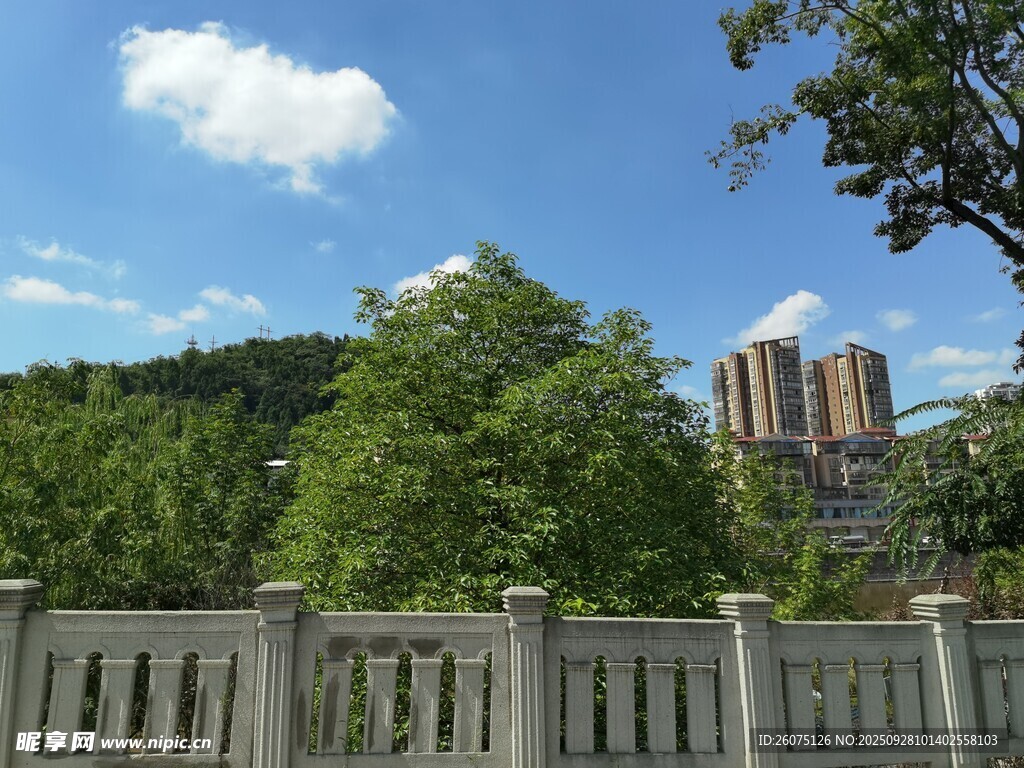 戶外風(fēng)景綠樹(shù)圍欄與藍(lán)天