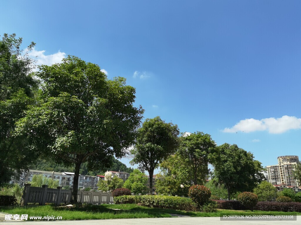 綠樹成蔭的美麗戶外景致