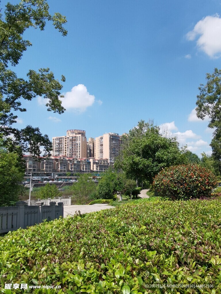 城市中的綠意景觀